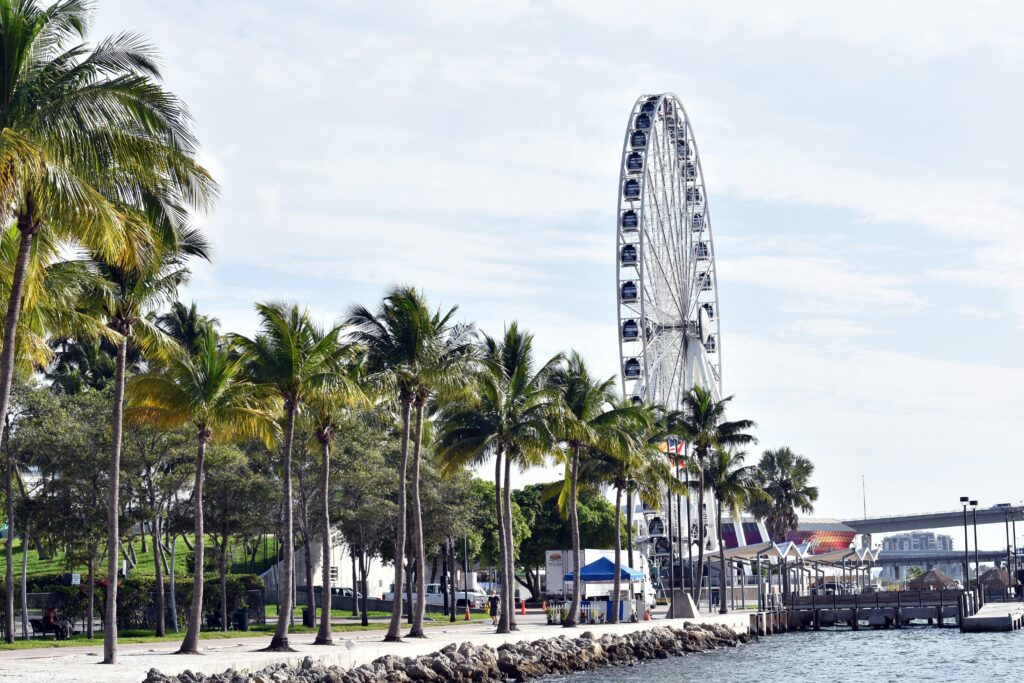 Ferris wheel near palm-lined waterfront in Miami, capturing a sunny day scene.