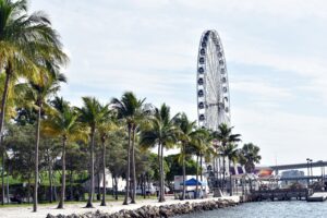 Ferris wheel near palm-lined waterfront in Miami, capturing a sunny day scene.