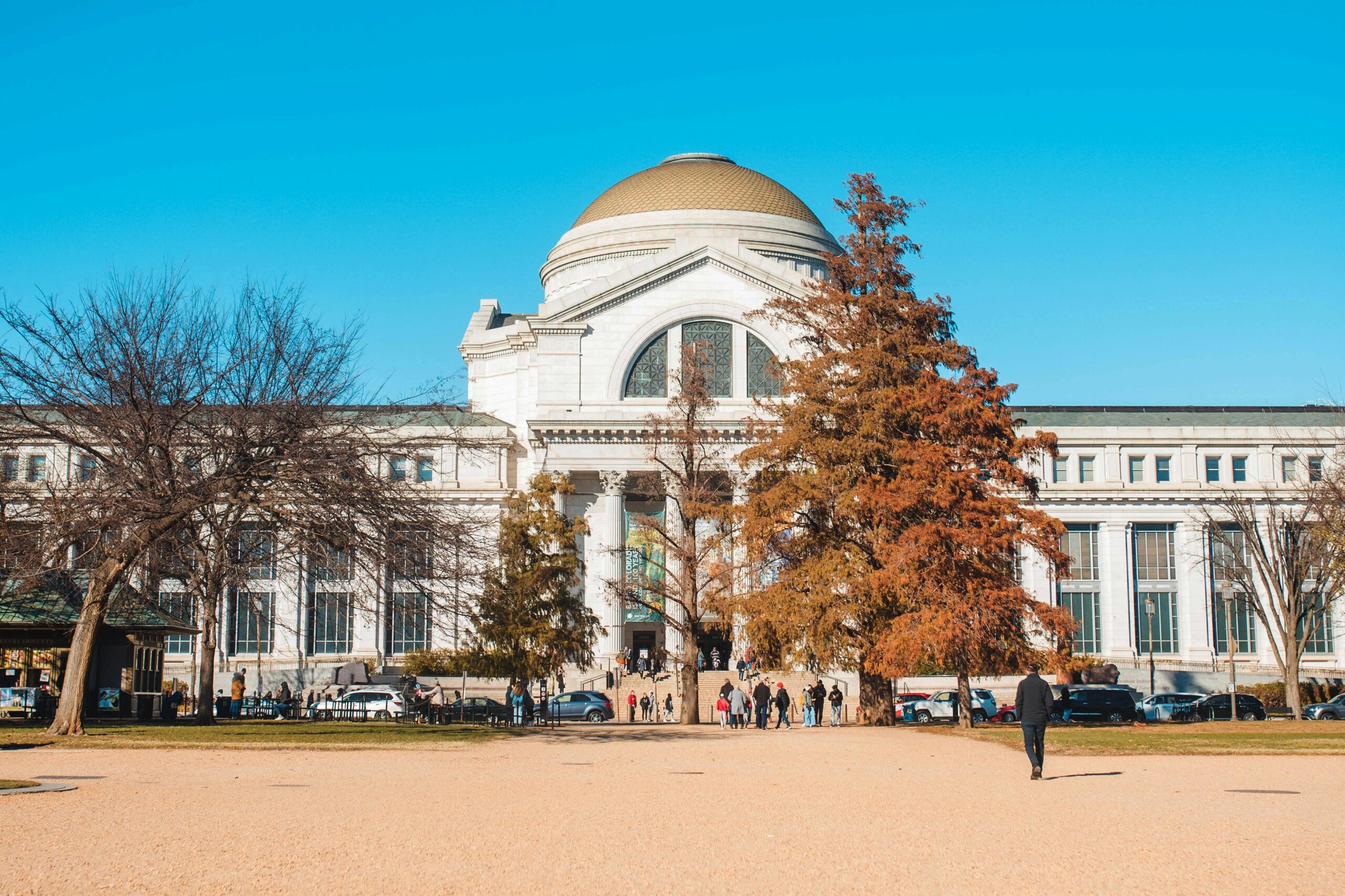 The Smithsonian Museum of Natural History in Washington DC under a clear blue sky.
