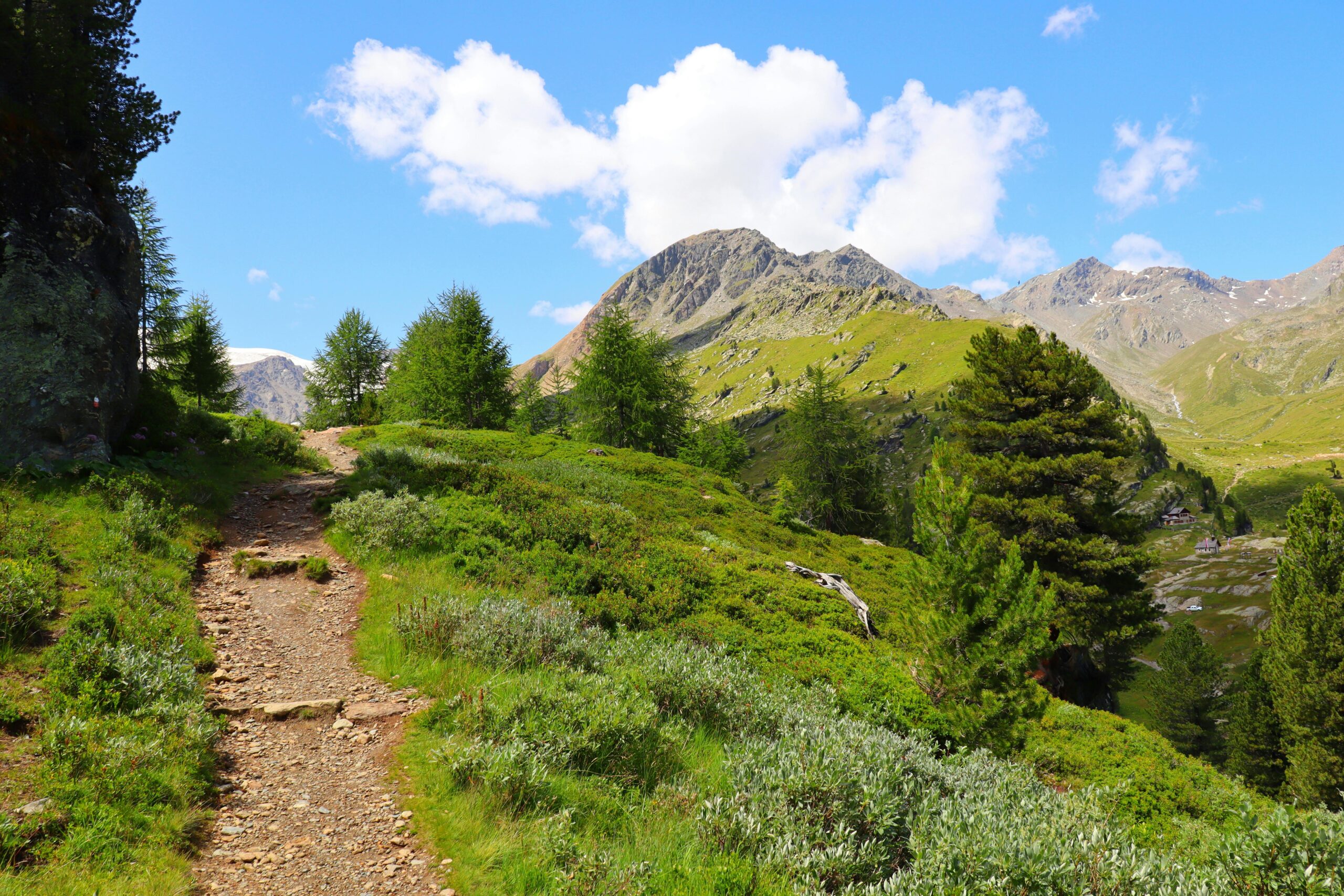 Beautiful mountain path through lush greenery, perfect for nature lovers and hikers.