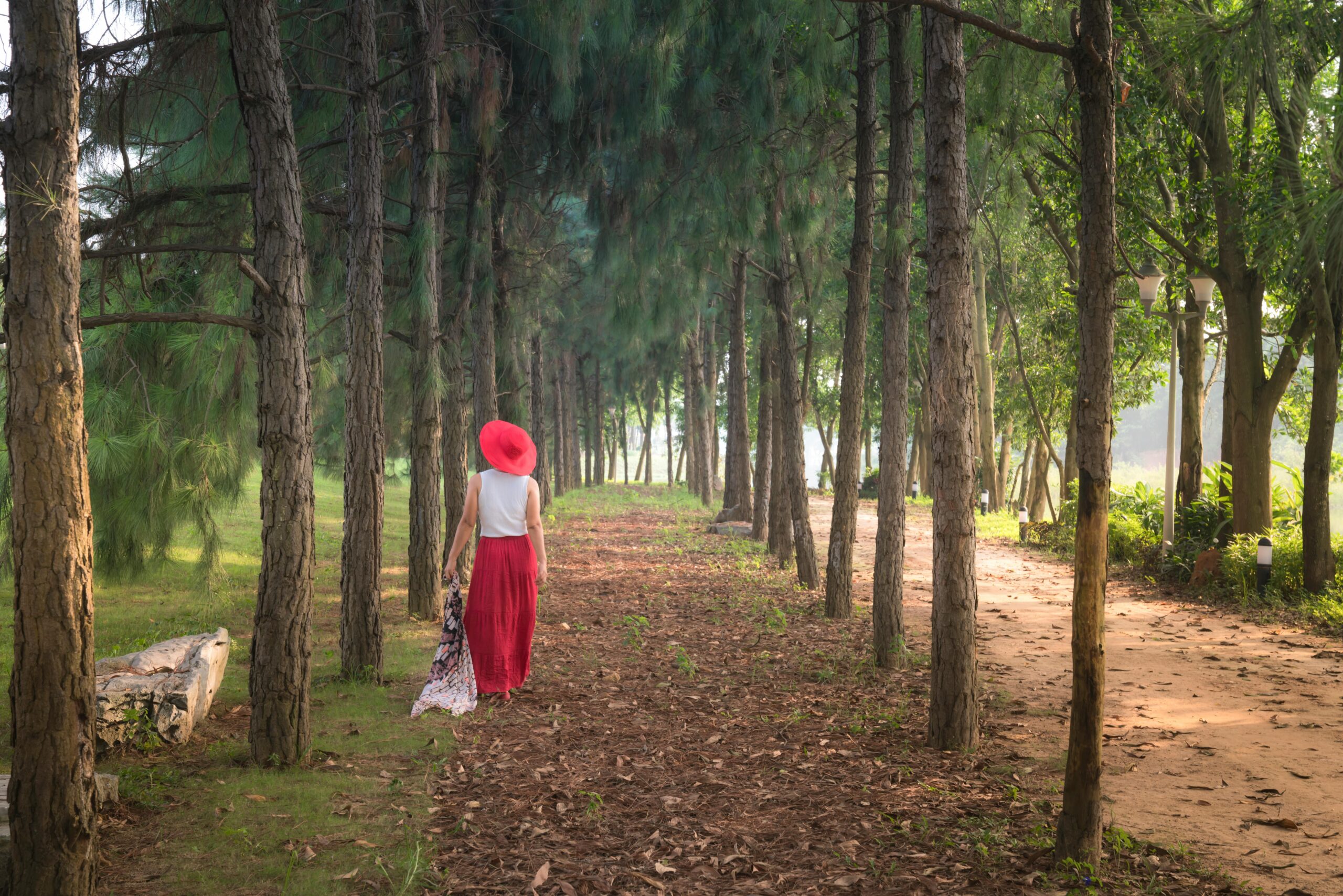 A serene scene of a woman in red walking down a forested trail, surrounded by tall trees.